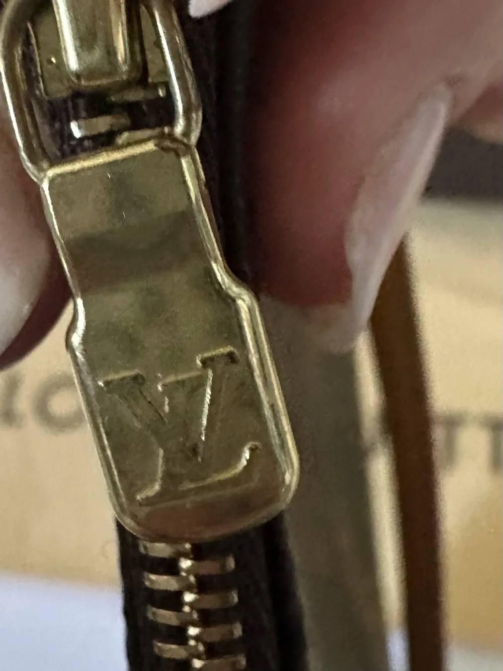 Louis Vuitton Monogram Pochette Accessoires  Bag